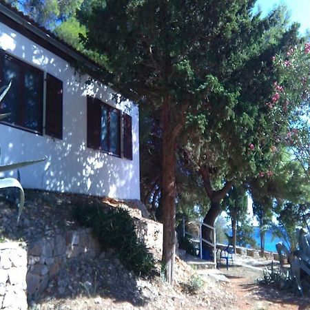 Tourist Resort Milna 维斯 外观 照片